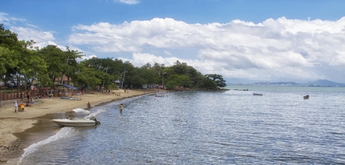 Proteção Ambiental Praia de Sambaqui SC Vegetação