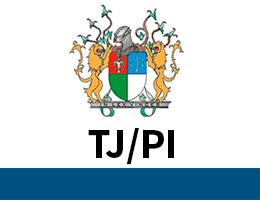 tj-pi-analista-area-judiciaria